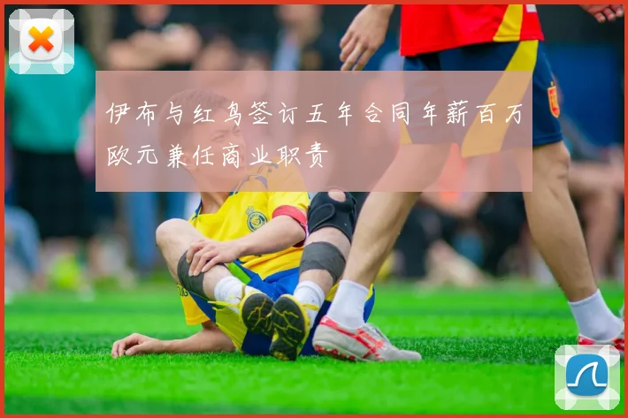 伊布与红鸟签订五年合同年薪百万欧元兼任商业职责